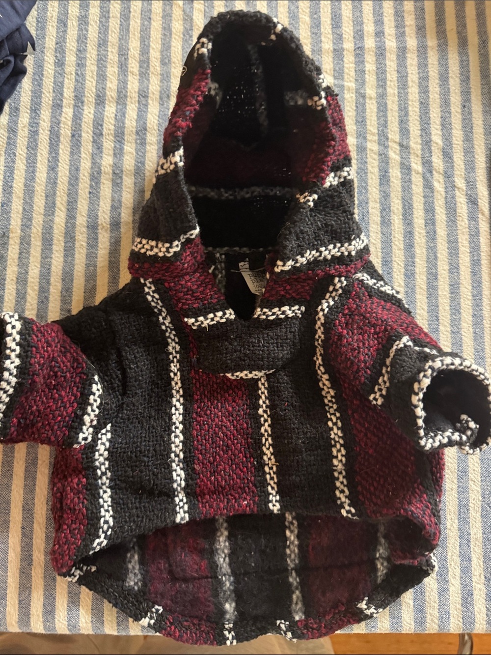Puppy Playa Mexican sweatshirt
